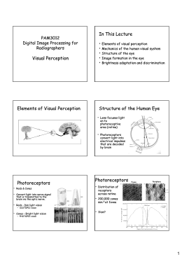 Visual Perception In This Lecture Elements of Visual Perception