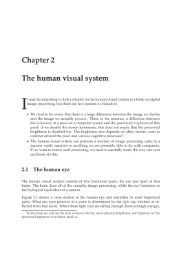 Chapter 2 The human visual system
