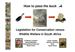 How to pass the buck - Born Free Foundation