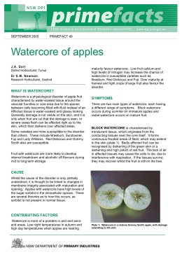 Watercore of apples - NSW Department of Primary Industries