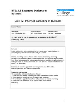 BTEC L3 Extended Diploma in Business Unit 12: Internet Marketing