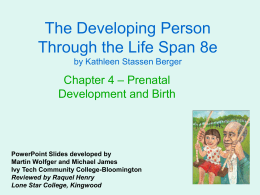 ALH 1002 Chapter 4 - Prenatal Development and Birth