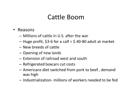 Cattle Boom