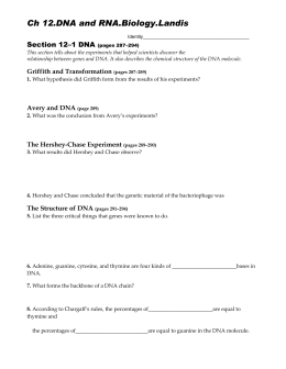 Worksheets Dna And Protein Synthesis Review Worksheet Answers section rna and protein synthesis dna biology landis