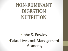 non-ruminant digestion nutrition