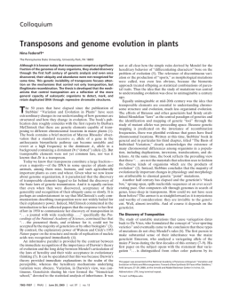 Transposons and genome evolution in plants