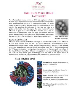 Influenza Virus H1N1 Fact Sheet H1N1 Influenza Virus