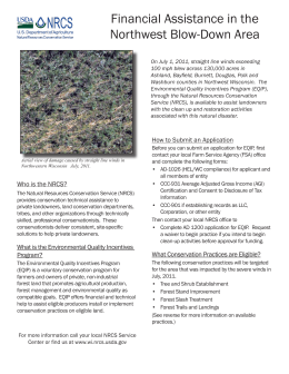 Forestry Blowdown Factsheet