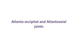 Atlanto occipital and Atlantoaxial joints