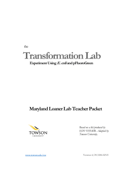 Transformation Lab - Towson University