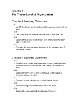 Chapter 4 The Tissue Level of Organization Chapter 4 Learning