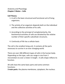 Anatomy and Physiology Chapter 3 Notes – Cells Cell Theory: 1. A