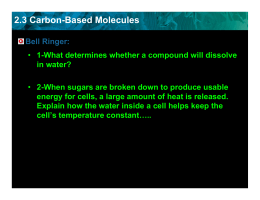 2.3 Carbon-Based Molecules