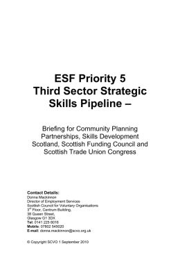 Third Sector Strategic Skills Pipeline – Local Authority Area