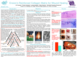 Ension`s Reinforced Collagen Matrix (ERCM)