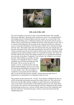 Life cycle of the wolf - The UK Wolf Conservation Trust