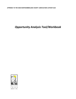 Opportunity Analysis Tool/Workbook