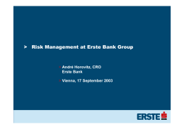 Risk Management at Erste Bank Group