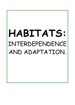 INTERDEPENDENCE AND ADAPTATION.