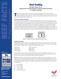 Beef Grading - BeefResearch