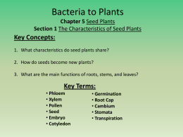 Bacteria to Plants 5-1 The Characteristics of Seed