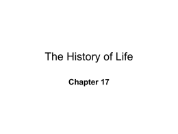 Chapter 17 History of Life
