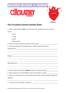 The Circulatory System Activity Sheet