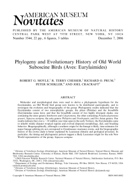 Phylogeny and Evolutionary History of Old World