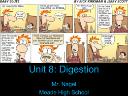 Unit 8: Digestion