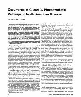 Occurrence of C3 and C4 Photosynthetic Pathways in North