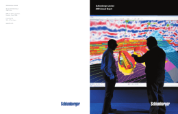 Schlumberger Limited 2009 Annual Report