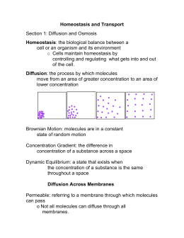 Homeostasis and Transport Section 1: Diffusion and Osmosis