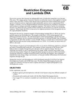 Restriction Enzymes and Lambda DNA