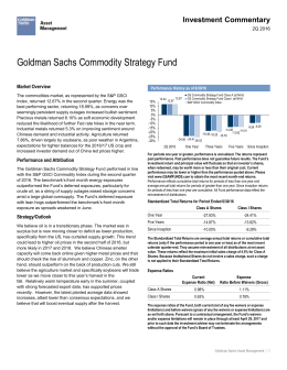Goldman Sachs Commodity Strategy Fund