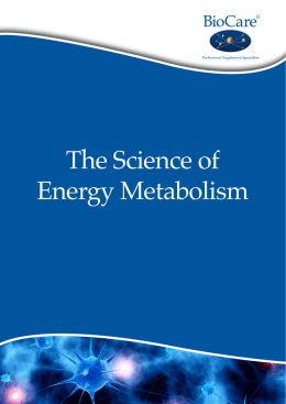 The Science of Energy Metabolism