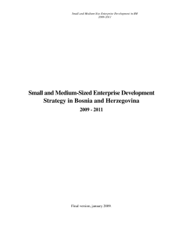 Small and Medium-Sized Enterprise Development Strategy in