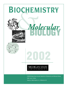 2002 BMB Magazine - Department of Biochemistry and Molecular