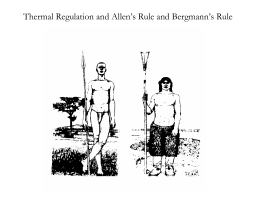 Thermal Regulation and Allen`s Rule and Bergmann`s Rule