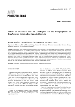 Effect of Oxytocin and its Analogues on the Phagocytosis of