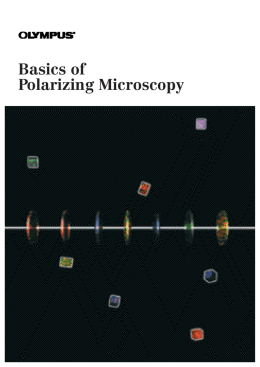 Basics of Polarizing Microscopy - University of California, Berkeley
