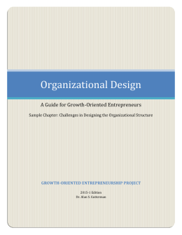 Challenges in Designing the Organizational Structure