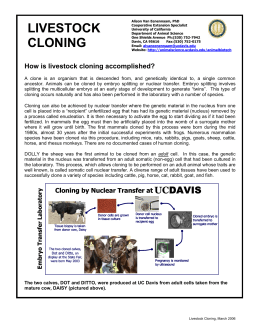 How is livestock cloning accomplished?
