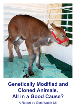 Genetically Modified and Cloned Animals. All in a