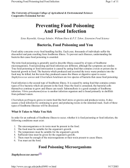 Preventing Food Poisoning And Food Infection