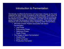 Introduction to Fermentation