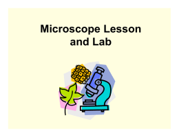Microscope Lesson and Lab