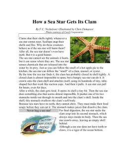How a Sea Star Gets Its Clam