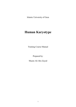 human Karyotype