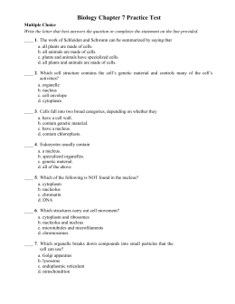 Biology Chapter 7 Practice Test