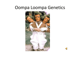 Oompah Loompa Genetics